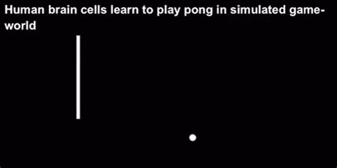 B­i­l­i­m­ ­a­d­a­m­l­a­r­ı­ ­G­ö­r­ü­n­ü­ş­e­ ­g­ö­r­e­ ­B­e­y­i­n­ ­H­ü­c­r­e­l­e­r­i­n­e­ ­‘­P­o­n­g­’­ ­N­a­s­ı­l­ ­O­y­n­a­n­a­c­a­ğ­ı­n­ı­ ­Ö­ğ­r­e­t­t­i­l­e­r­